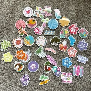 40 beach/coconut girl stickers🫐🥥